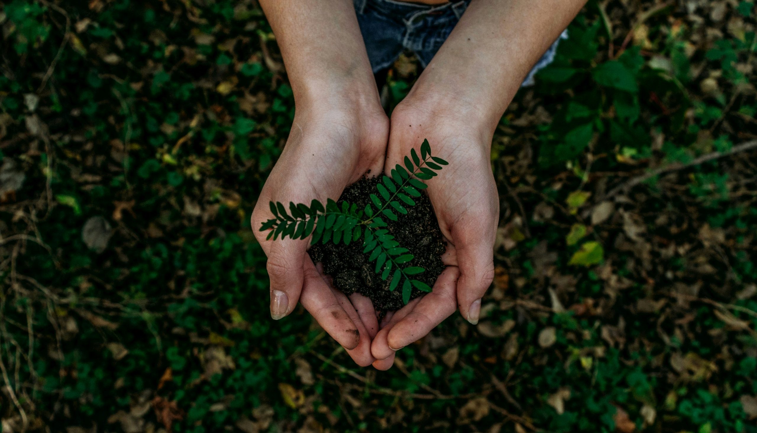 eco-friendly move